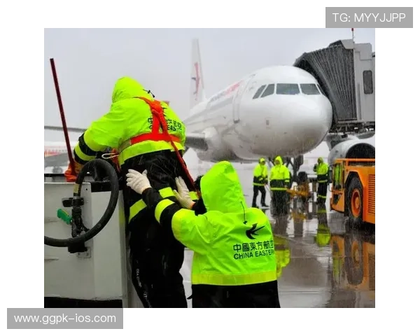 凤凰在线娱乐城专业技术团队,确保平台稳定运行与安全保障 凤凰在线娱乐城专业技术团队,确保平台稳定运行与安全保障