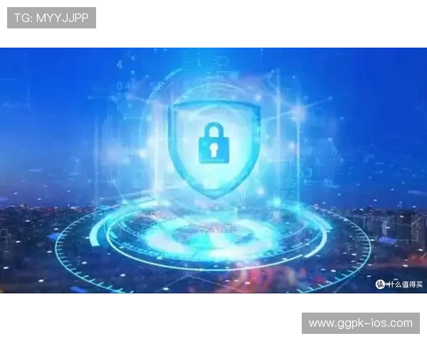 金年会手机版APP安全保障措施，确保企业数据安全与隐私保护